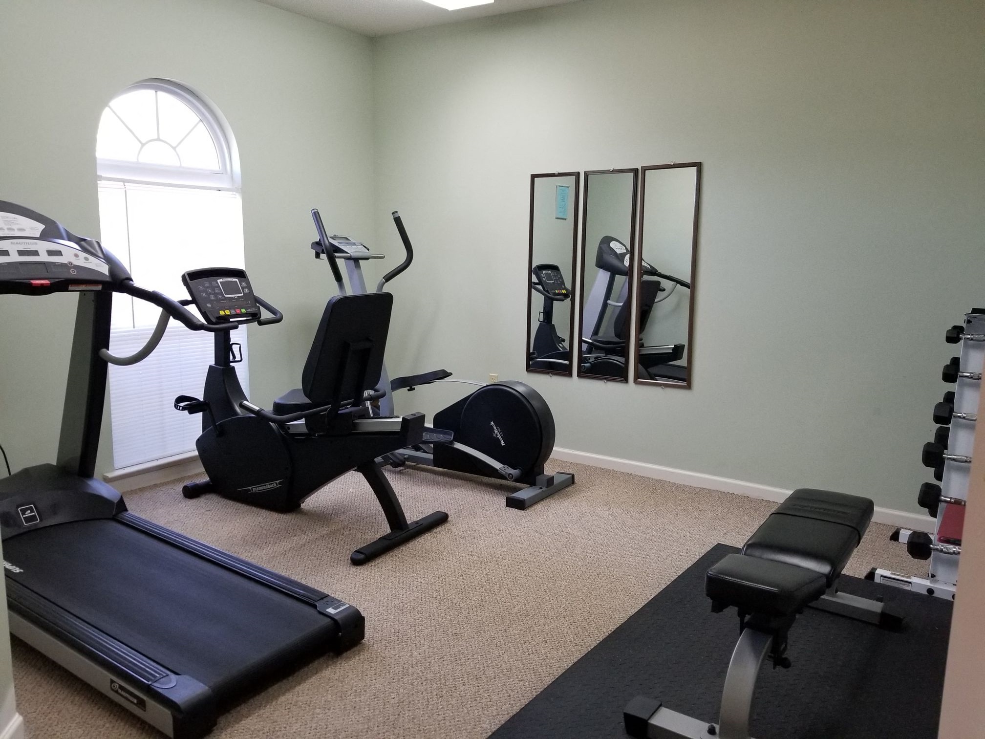 the gym has plenty of equipment for everyone to use